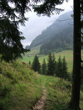 Prvni pohled - 01