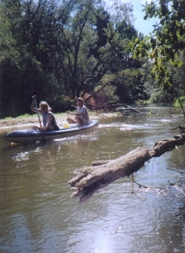 kocicak - 2