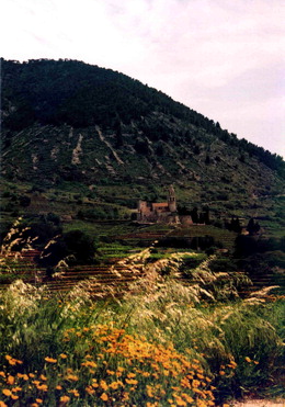 Za humny - 06